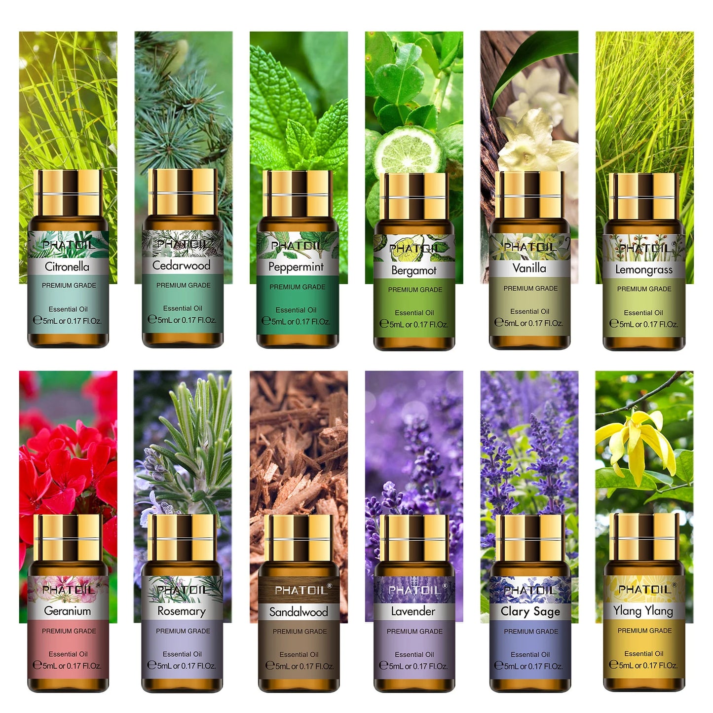 PHATOIL « M » - Pack 15 Capsules Fruités Et Fleurs Naturelles 5ML