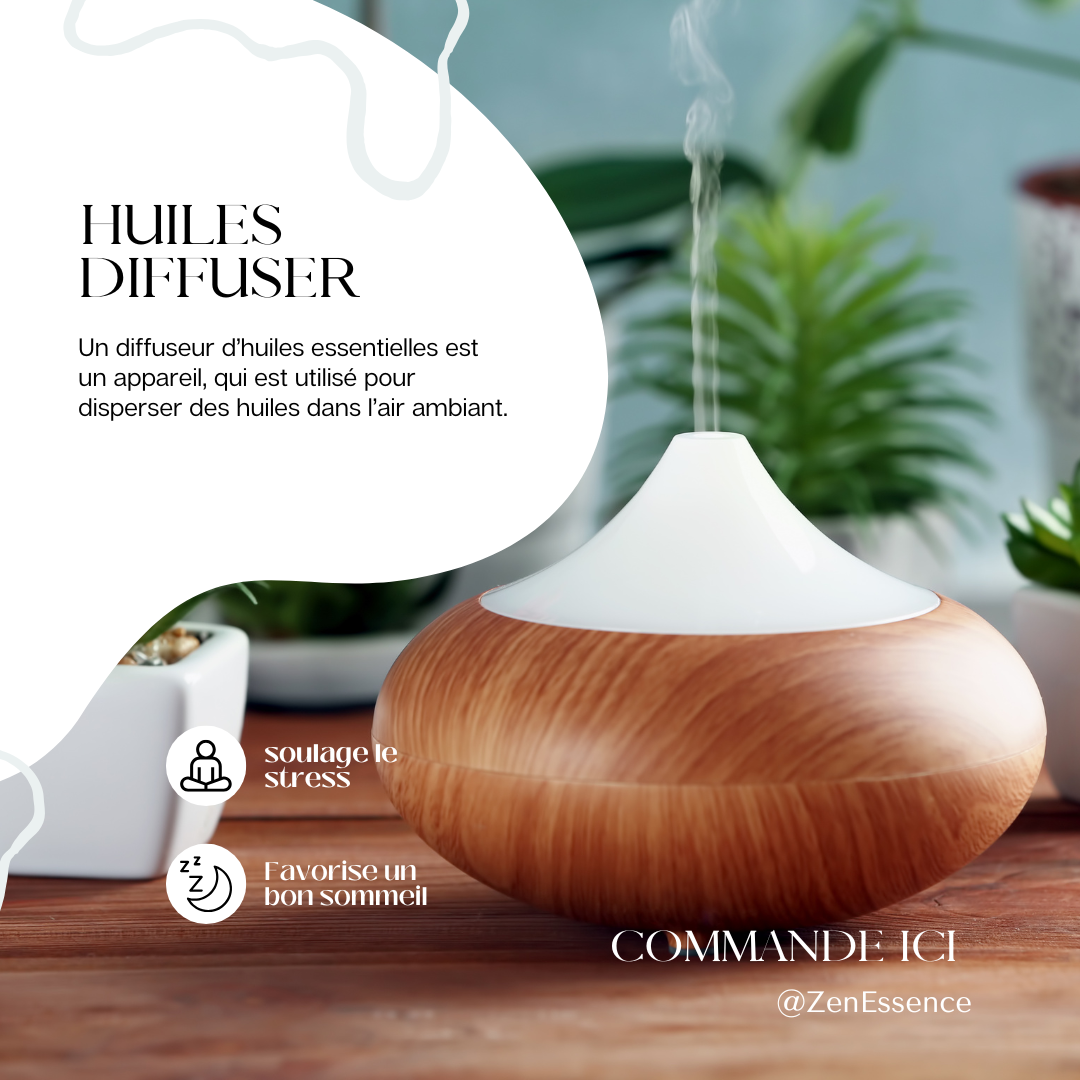 DIFFUSEUR