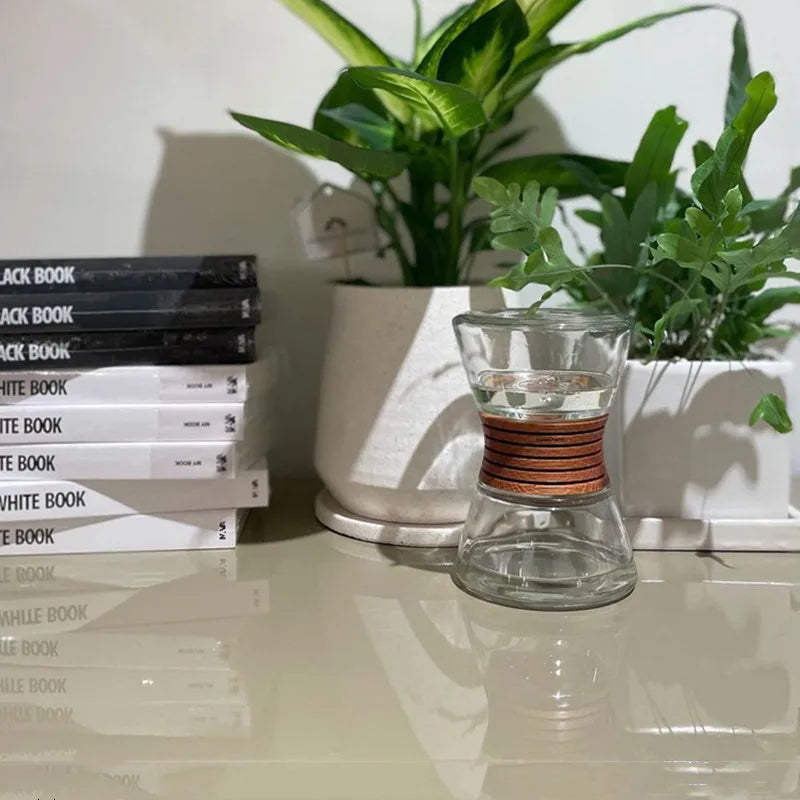 ZenEssence - Diffuseur de nébulisation d'huiles essentielles en verre Diffuseur électrique